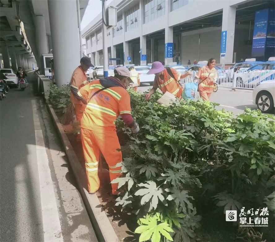 昆明保洁服务，城市清洁的新篇章