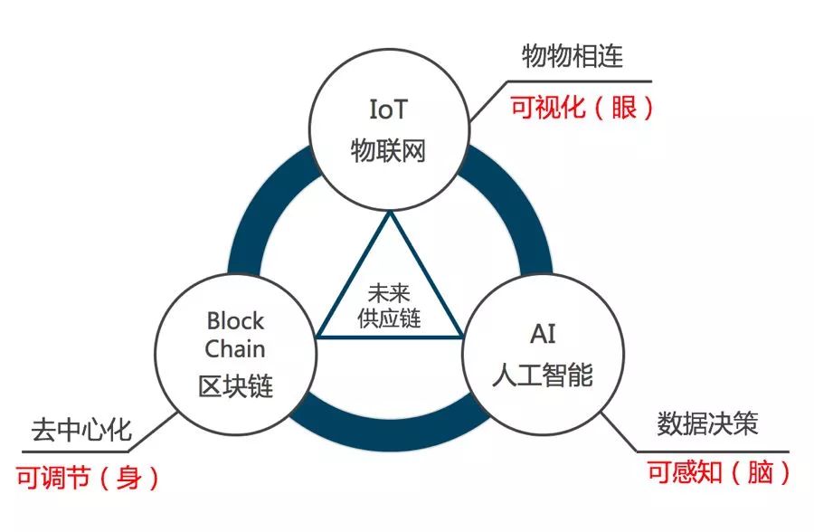 探索合纵医药网，重塑医药供应链的数字化先锋
