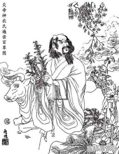 医药之神的传说与名字探秘