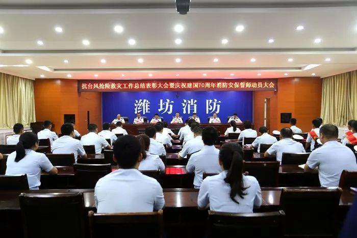 医药股新纪元，创新药龙头股的崛起与未来展望