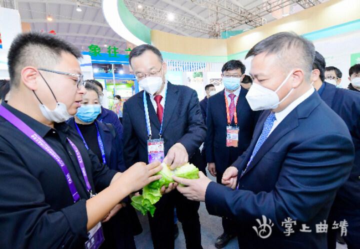 医药招商网站平台排名，深度解析与选择指南