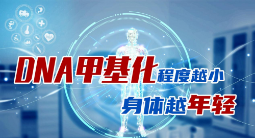 医药杂志，探索健康与科学的权威平台