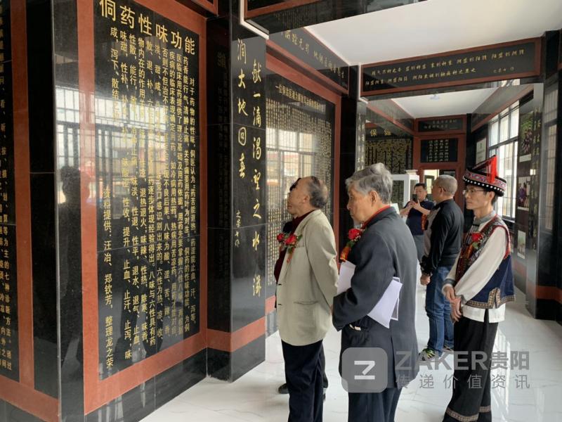 医药板块，创新与希望的绿色图谱