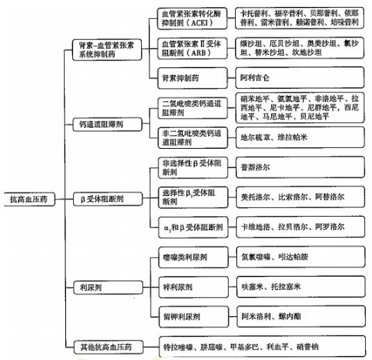 医药知识普及，从基础到进阶的全面指南