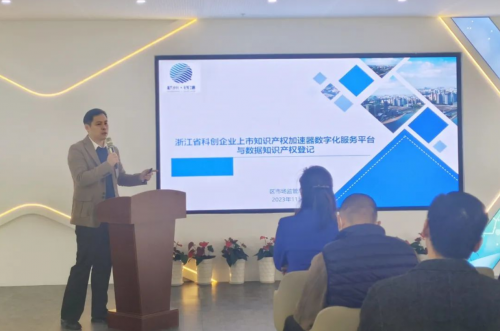 医药知识产权保护，创新驱动与健康未来的基石