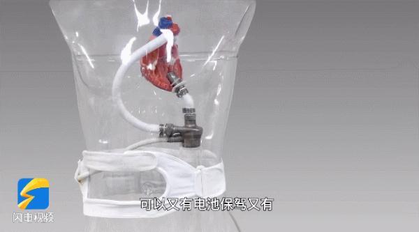 医药新突破，今天，全球首款3D生物打印人工心脏成功植入