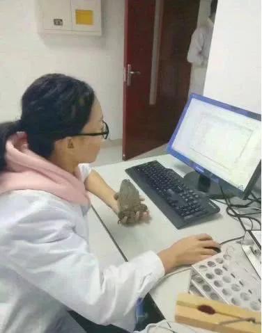 当医者仁心缺失，如何有效投诉医生态度问题