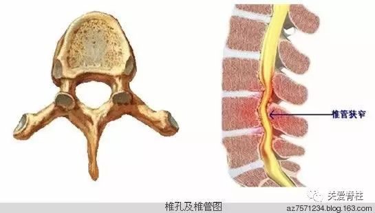 品牌介绍 第358页