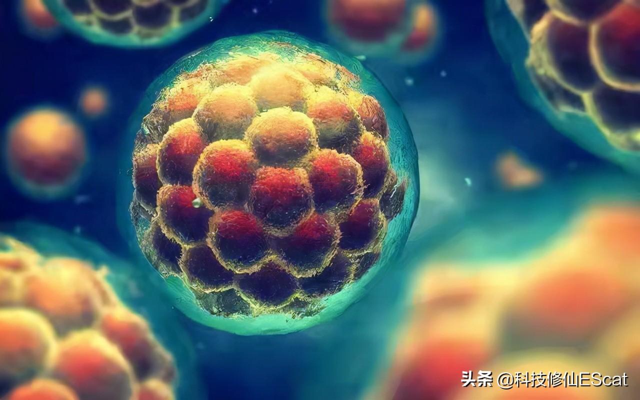 手术伤口疤痕增生凸起，科学应对与美丽重生的策略