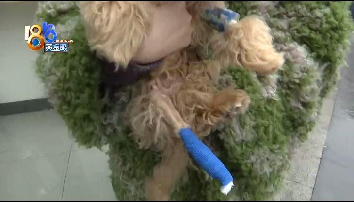 女人肚子开刀手术，需要几个医生在场的深度解析