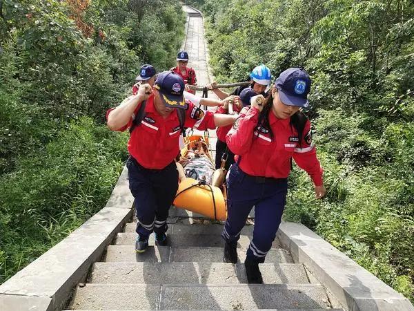 骨折手术后能吃海参吗？——营养与康复的智慧选择