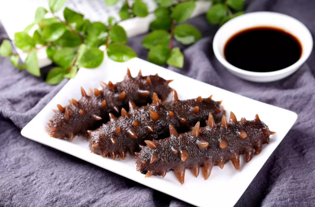 手术后食用海参，加速伤口愈合的奥秘
