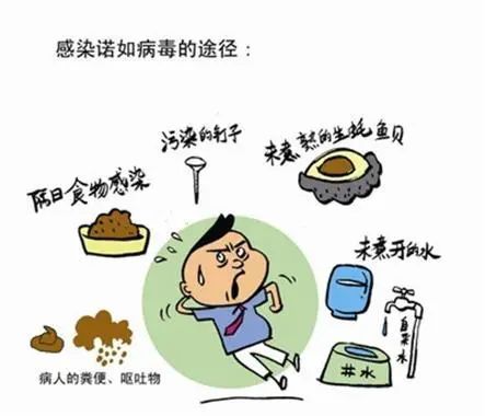 诺如病毒，认识症状，掌握治疗方法