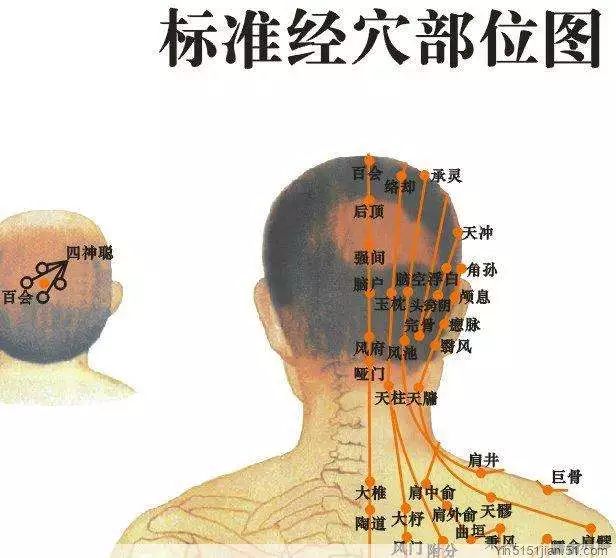 穴位疗法，揭秘治疗耳鸣的神奇穴位
