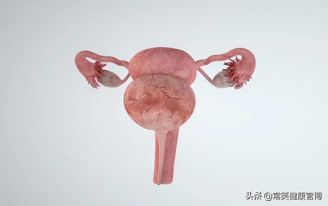 探索治疗萎缩性胃炎的中成药，传统智慧与现代健康的融合
