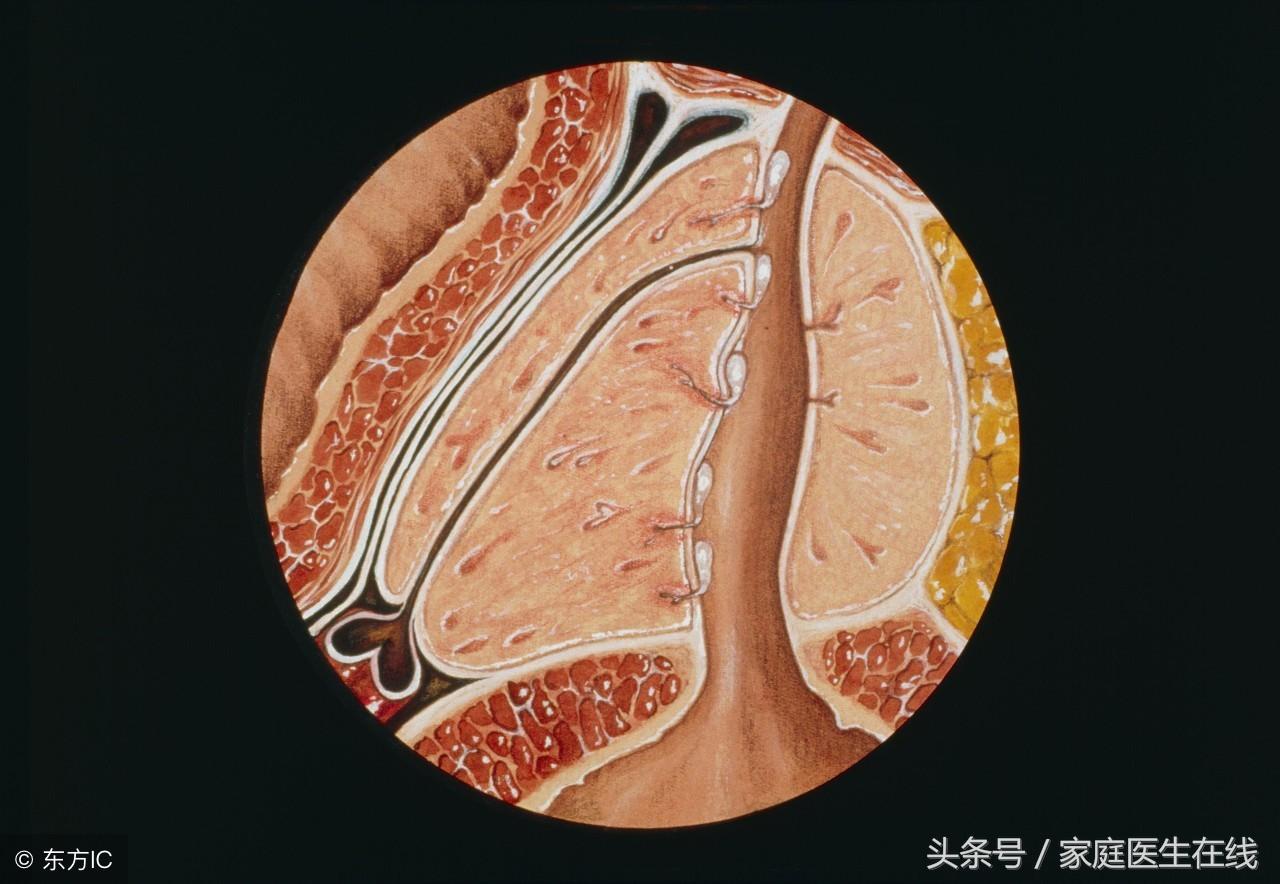 广州南方男科医院，专业守护男性健康的港湾
