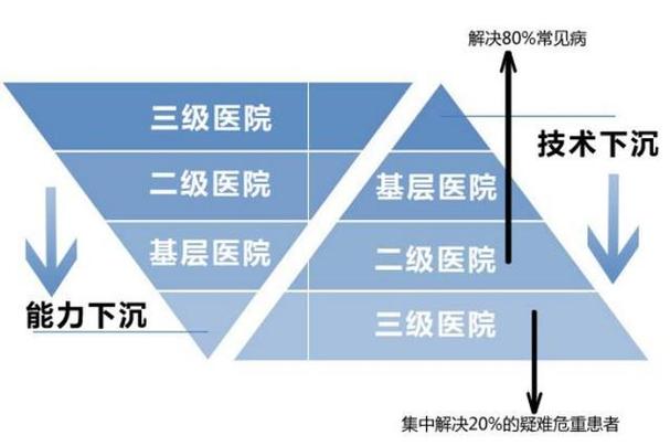 新闻资讯 第222页