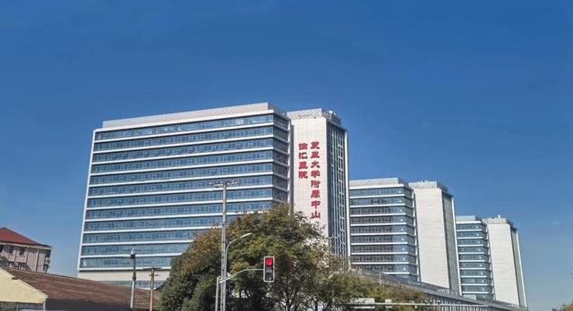徐汇区中心医院，是否为三甲医院的深度解析