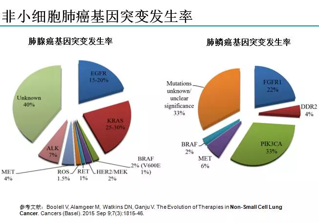 全国哪家医院看肺癌最好？——权威排名与选择指南