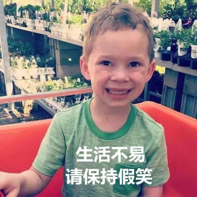 摇号新体验，解锁小客车摇号查询的便捷之道