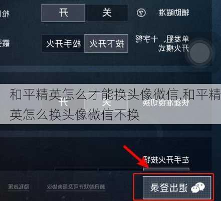 如何在和平精英中更换头像，详细步骤指南