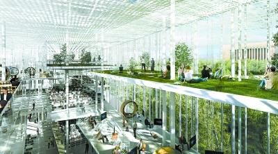 2025年澳门，全年免费大全的未来展望